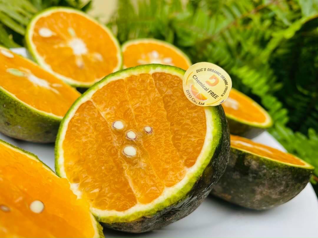 Cam Sành Chuyển Đổi Hữu Cơ